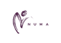 Logo NUMA